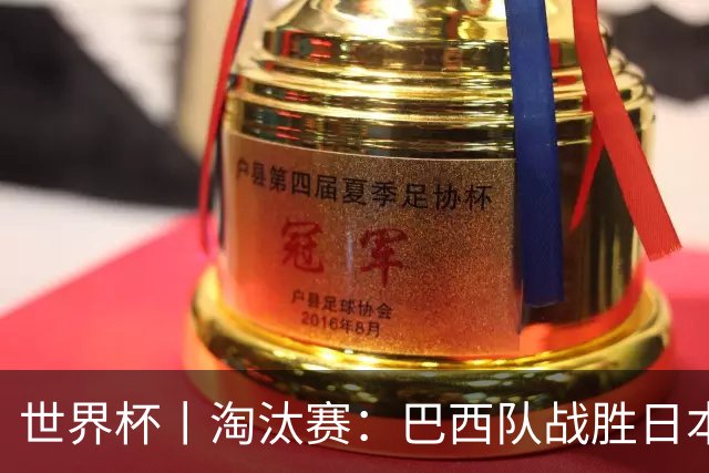 世界杯丨淘汰赛：巴西队战胜日本队