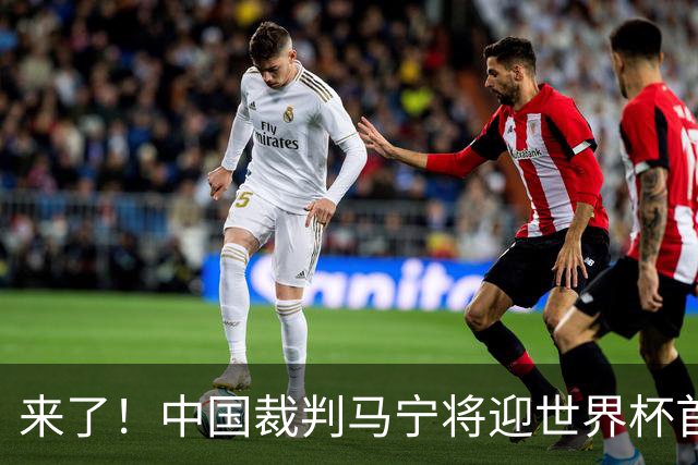 来了！中国裁判马宁将迎世界杯首秀 执法厄瓜多尔VS库拉索