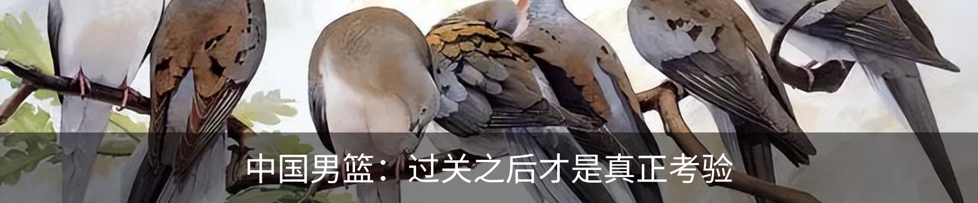 资讯动态